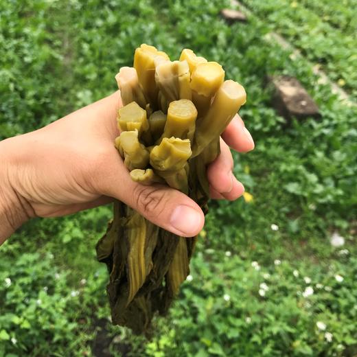 生态酸菜（临期8折） | 绿家自产*Eco-pickles | Self-production 商品图2