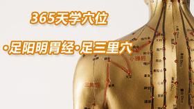 5.足阳明胃经45.足三里穴