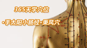 8.手太阳小肠经62.秉风穴