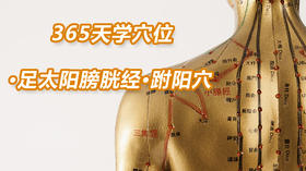 9.足太阳膀胱经45.跗阳穴