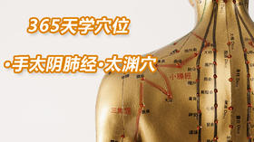 3.手太阴肺经25.太渊穴