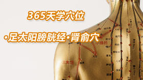 9.足太阳膀胱经18.肾俞穴