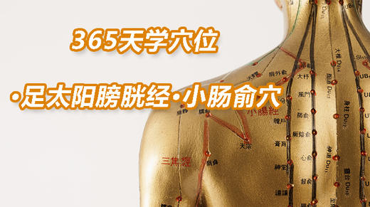 9.足太阳膀胱经22.小肠俞穴 商品图0