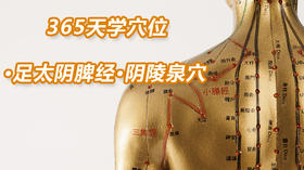 6.足太阴脾经53.阴陵泉穴