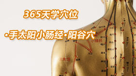 8.手太阳小肠经2.阳谷穴
