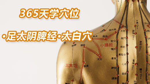 6.足太阴脾经50.太白穴 商品图0