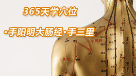 4.手阳明大肠经30.手三里