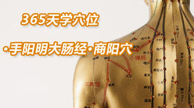 4.手阳明大肠经1.商阳穴