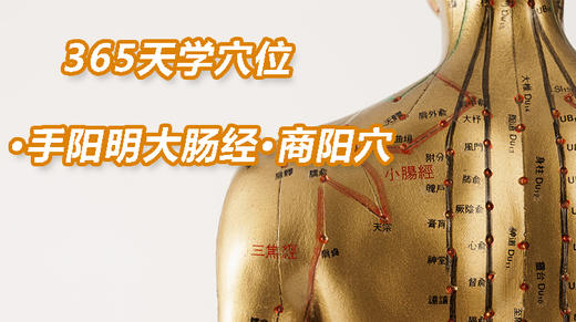 4.手阳明大肠经1.商阳穴 商品图0