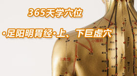 5.足阳明胃经46.上、下巨虚穴