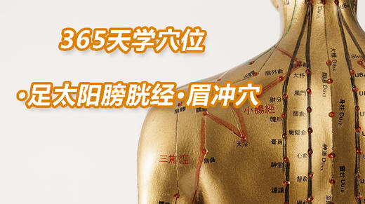 9.足太阳膀胱经1.眉冲穴 商品图0