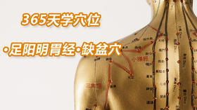 5.足阳明胃经8.缺盆穴