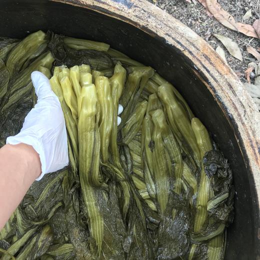 生态酸菜（临期8折） | 绿家自产*Eco-pickles | Self-production 商品图1
