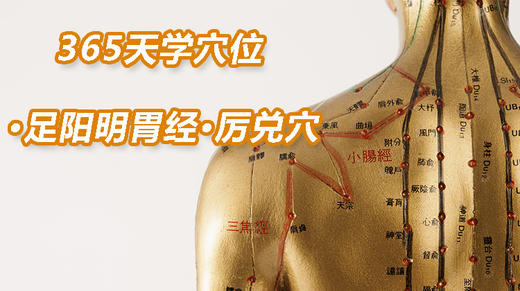 5.足阳明胃经28.厉兑穴 商品图0