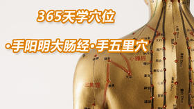 4.手阳明大肠经8.手五里穴