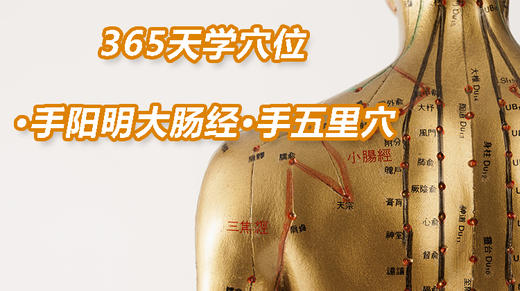 4.手阳明大肠经8.手五里穴 商品图0
