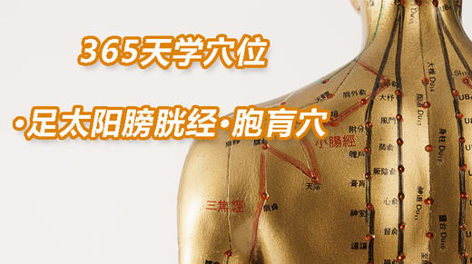 9.足太阳膀胱经39.胞肓穴 商品图0