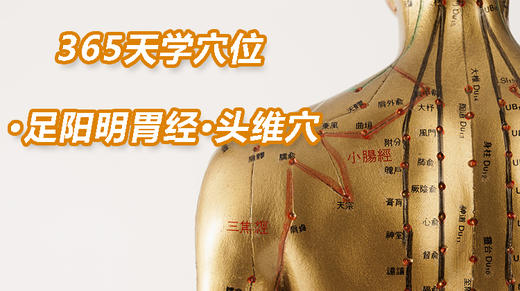 5.足阳明胃经37.头维穴 商品图0