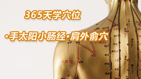 8.手太阳小肠经9.肩外俞穴