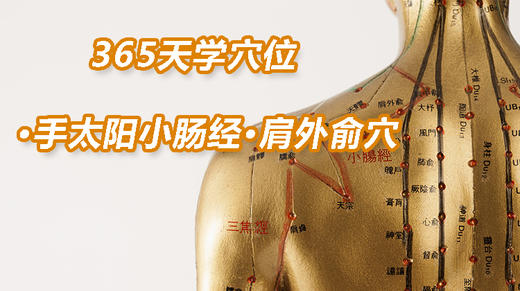 8.手太阳小肠经9.肩外俞穴 商品图0