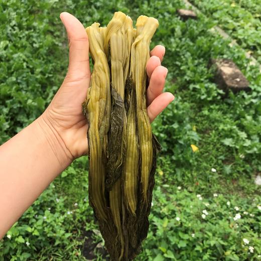 生态酸菜（临期8折） | 绿家自产*Eco-pickles | Self-production 商品图3