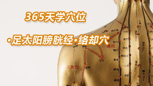 9.足太阳膀胱经6.络却穴 商品图0