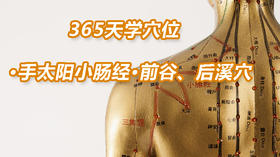 8.手太阳小肠经60.前谷、后溪穴