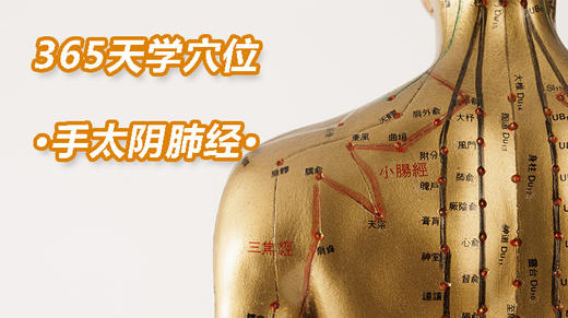 3、手太阴肺经 商品图0
