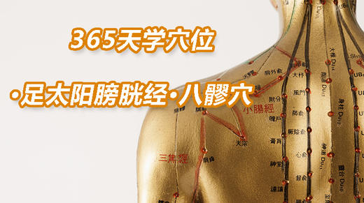 9.足太阳膀胱经26.八髎穴 商品图0