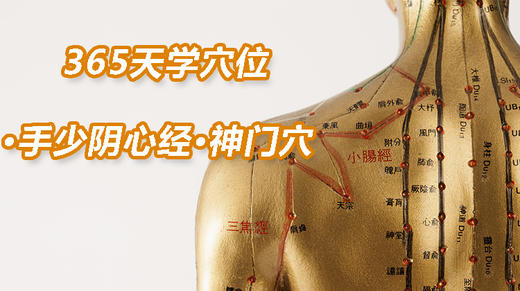 7.手少阴心经58.神门穴 商品图0