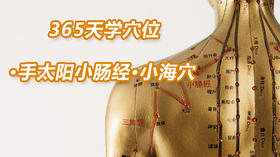 8.手太阳小肠经5.小海穴