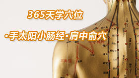 8.手太阳小肠经10.肩中俞穴