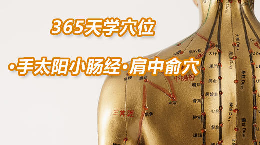 8.手太阳小肠经10.肩中俞穴 商品图0