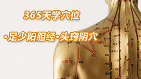 13.足少阳胆经9.头窍阴穴