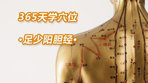 13、足少阳胆经 商品图0
