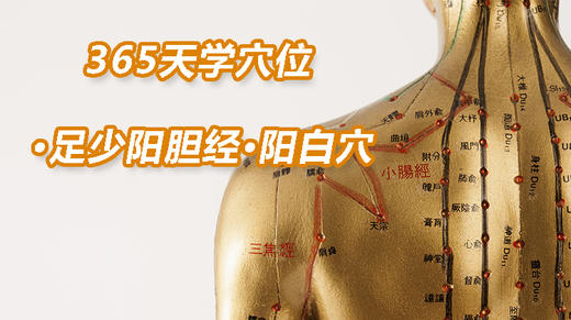 13.足少阳胆经12.阳白穴 商品图0