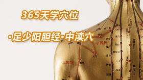 13.足少阳胆经25.中渎穴