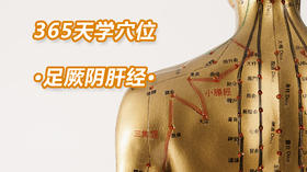 14、足厥阴肝经