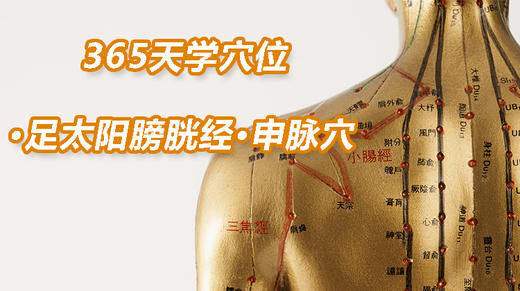 9.足太阳膀胱经75.申脉穴 商品图0