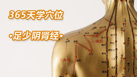 10、足少阴肾经