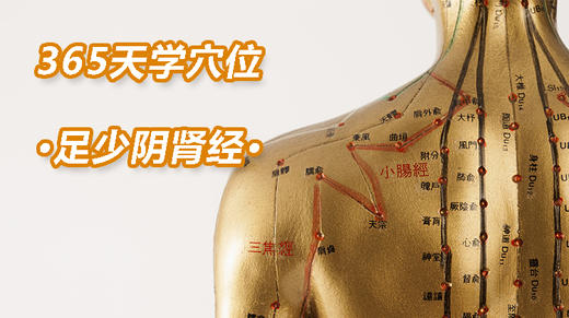 10、足少阴肾经 商品图0