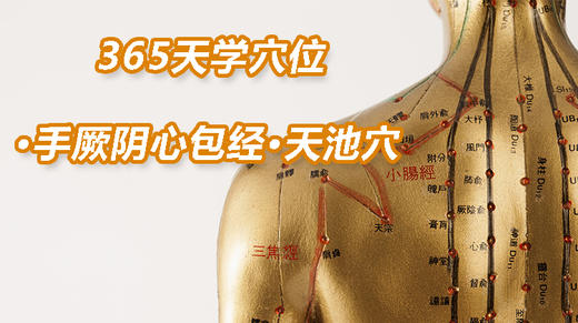 11.手厥阴心包经1.天池穴 商品图0