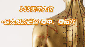 9.足太阳膀胱经69.委中、委阳穴