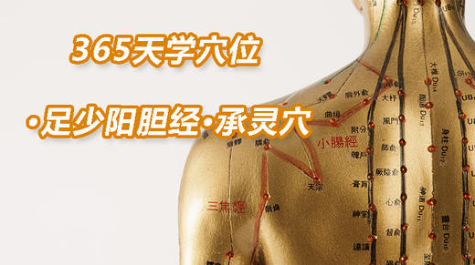 13.足少阳胆经16.承灵穴 商品图0