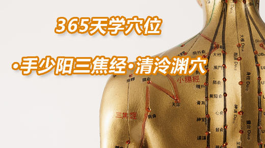 12.手少阳三焦经7.清泠渊穴 商品图0