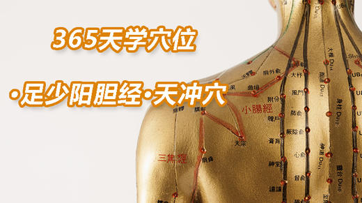 13.足少阳胆经7.天冲穴 商品图0