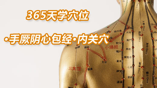 11.手厥阴心包经80.内关穴 商品图0