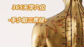 12、手少阳三焦经