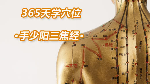 12、手少阳三焦经 商品图0