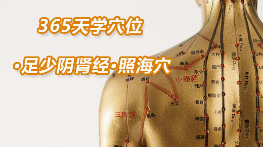 10.足少阴肾经79.照海穴 商品图0